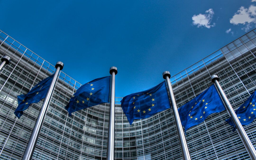 System kar w świetle prawa Unii Europejskiej na tle tzw. sporu o praworządność
