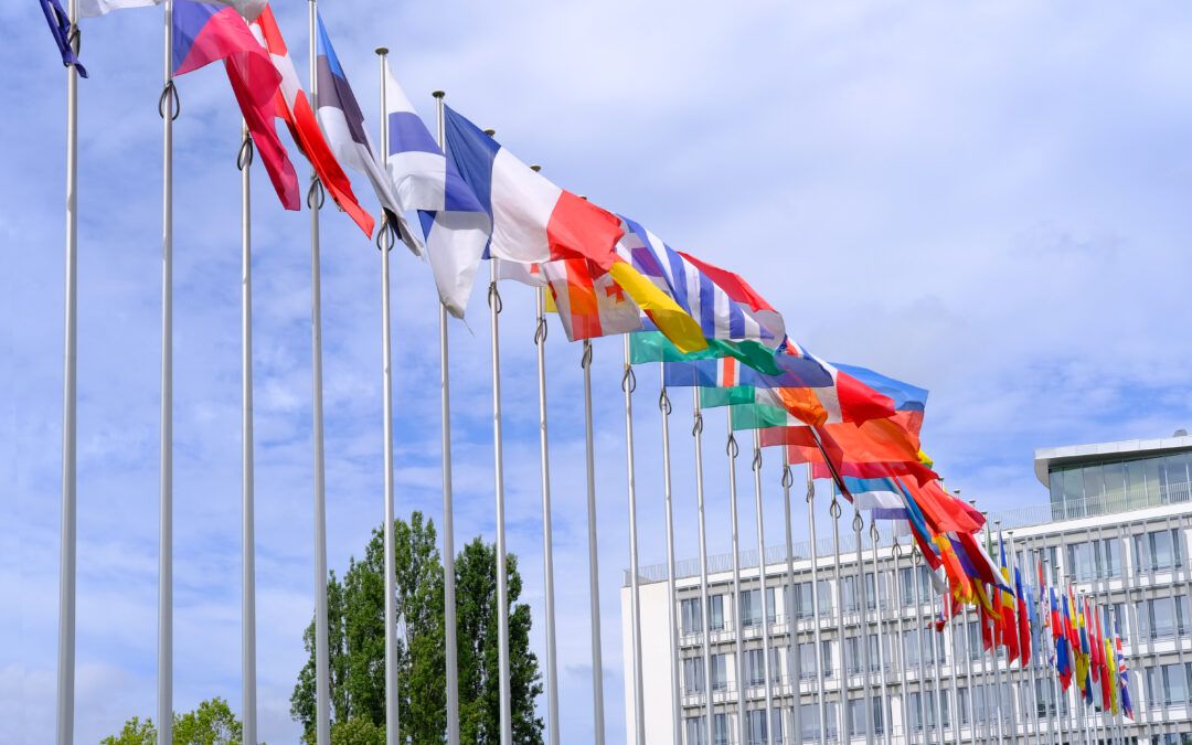 Autonomia państw członkowskich w zakresie gwarancji efektywności prawa unijnego