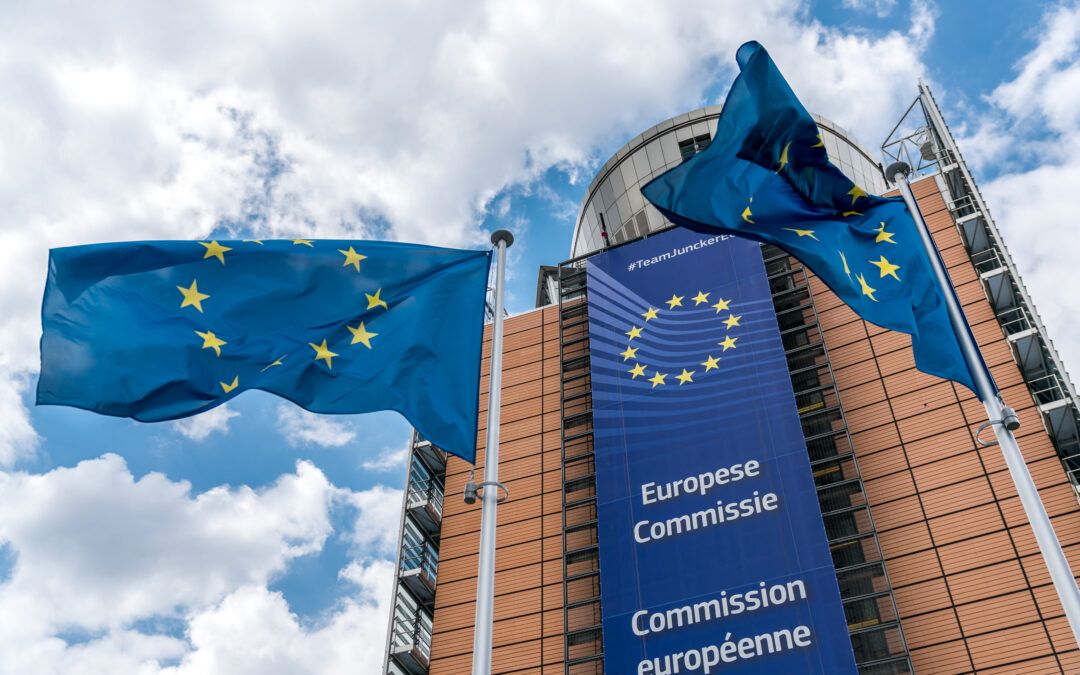 Komisja Europejska wobec tzw. federalizacji UE